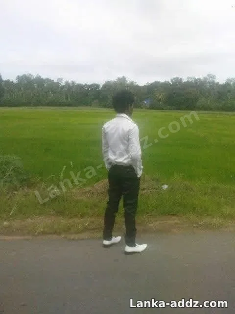 ගාල්ලේ කොල්ලෙක් වයස 27, Companionship in Galle, Sri Lanka