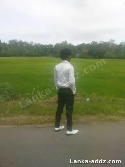 ගාල්ලේ කොල්ලෙක් වයස 27, Companionship in Galle, Sri Lanka