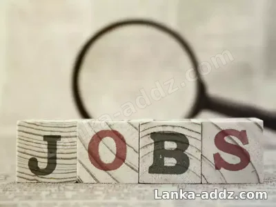 දිනක අදායම රු. 30000/=, Companionship in Aluthgama, Sri Lanka