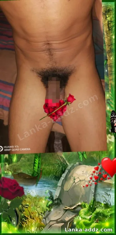 Handsome boy Cahmara - for ladies only 💯, Companionship in Kaduwela, Sri Lanka