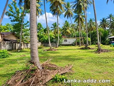45 Perches Land For Sale Kurunegala, Companionship in Mawathagama, Sri Lanka