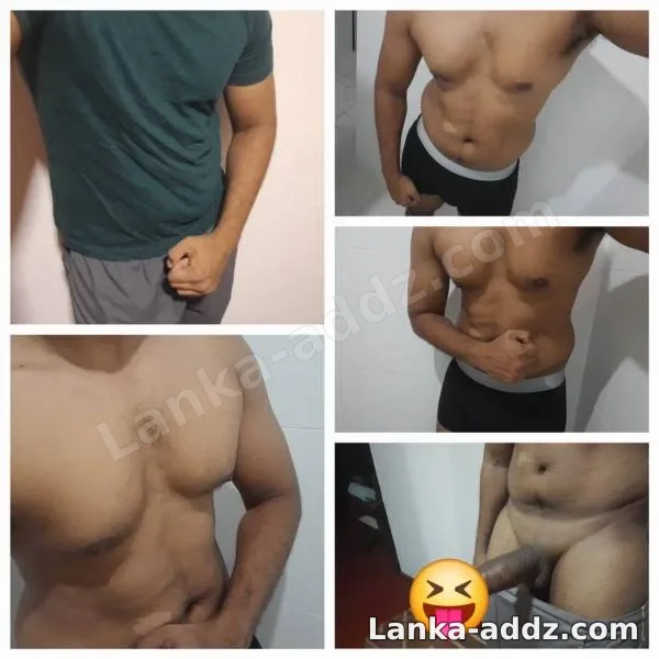 28 yr Bull Boy for ladies, GF , WIfe, Companionship in Colombo, Sri Lanka