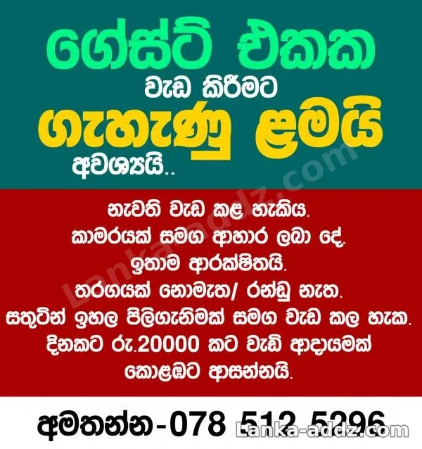 Guest House ආයතනයට නැවතී වැඩ කිරීමට ගැහැණු ළමයි අවශ්යයි 💵🏡, Companionship in Kelaniya, Sri Lanka