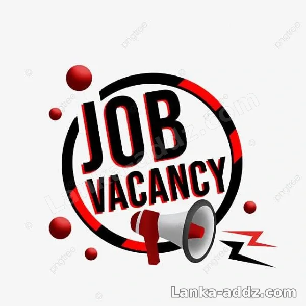 Job Vacancy Available For Girls 💵🏡, Companionship in Kalutara, Sri Lanka