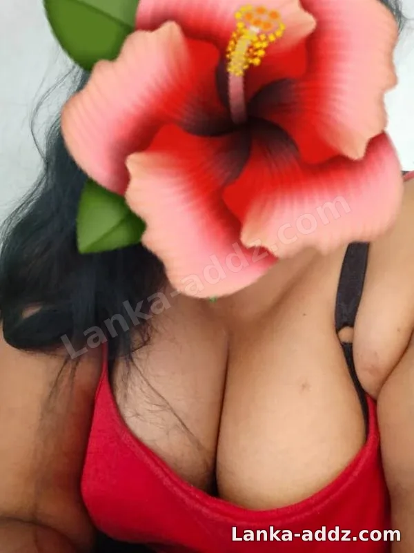 🟢Full Service ✅ MAHARAGAMA ♥️ NUGEGODA✅ New Girl available ❤️ ඇඟට දැනෙන සැපක් ගම, Companionship in Maharagama, Sri Lanka