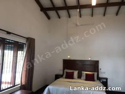 Full body massage, Companionship in Colombo, Sri Lanka